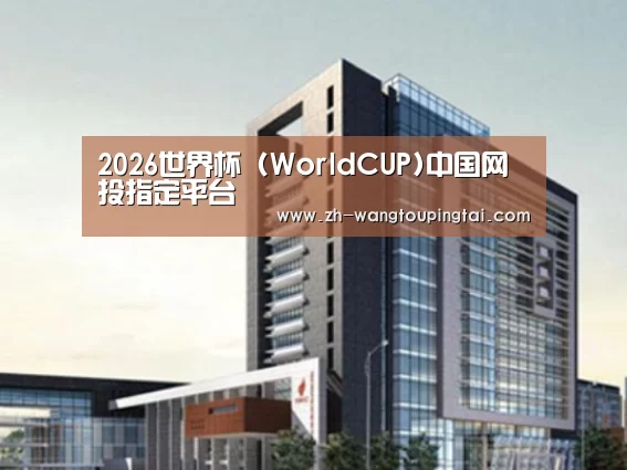 世界杯网投平台案例展示四