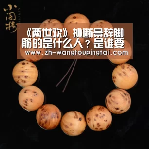 《两世欢》挑断景辞脚筋的是什么人?是谁要害景辞?:世界杯网投平台(图2) 世界杯网投平台