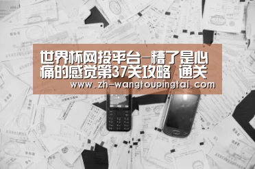 世界杯网投平台