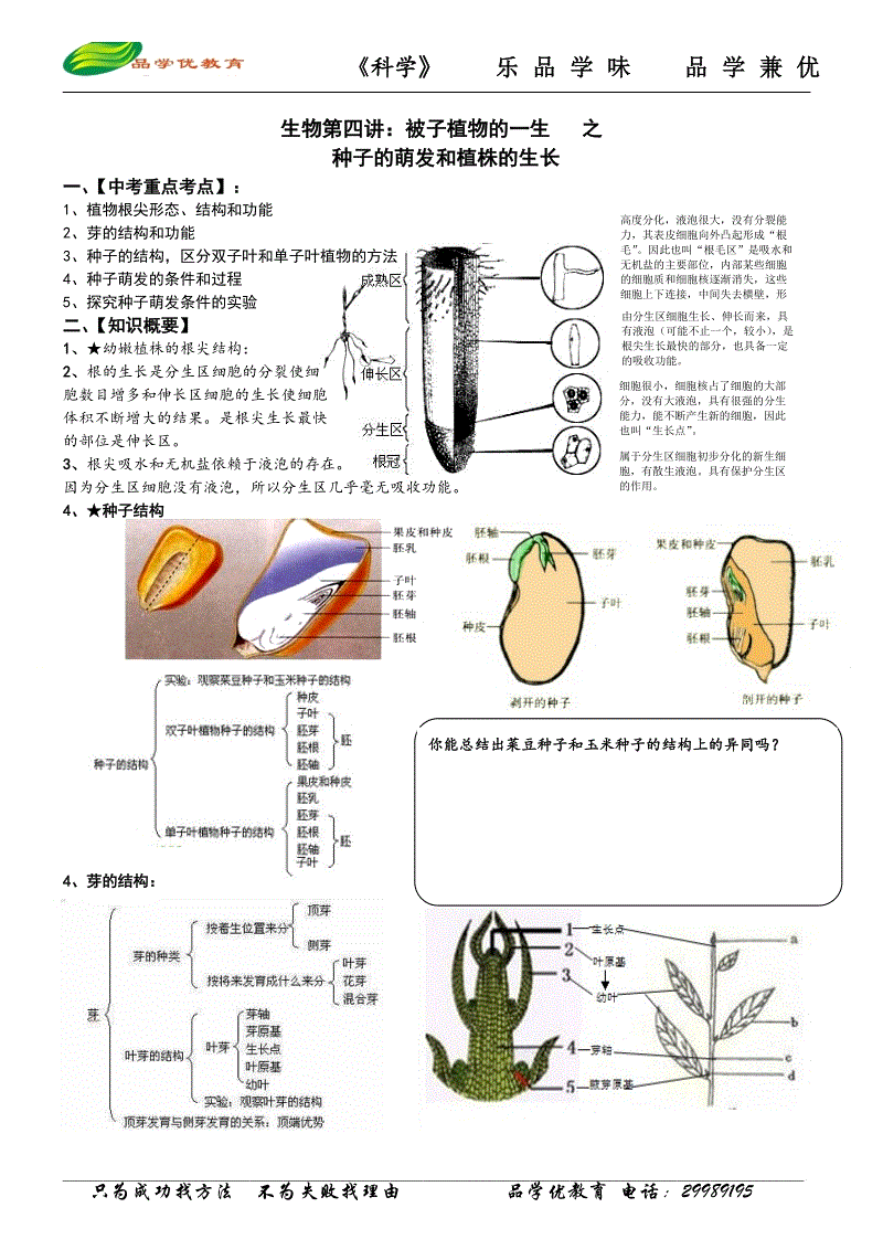 世界杯网投平台