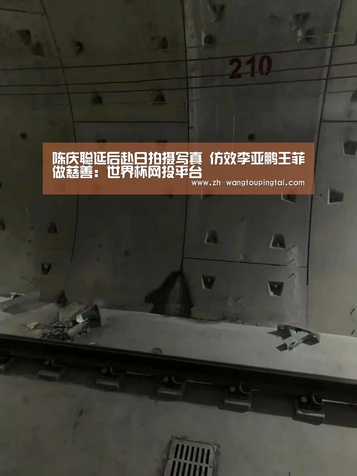 陈庆聪延后赴日拍摄写真 仿效李亚鹏王菲做慈善:世界杯网投平台(图1) 世界杯网投平台