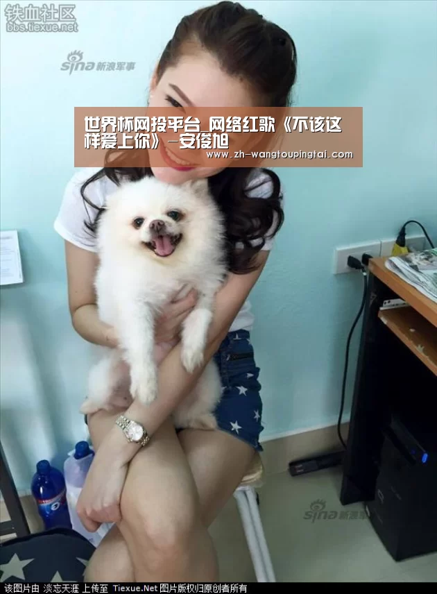 世界杯网投平台