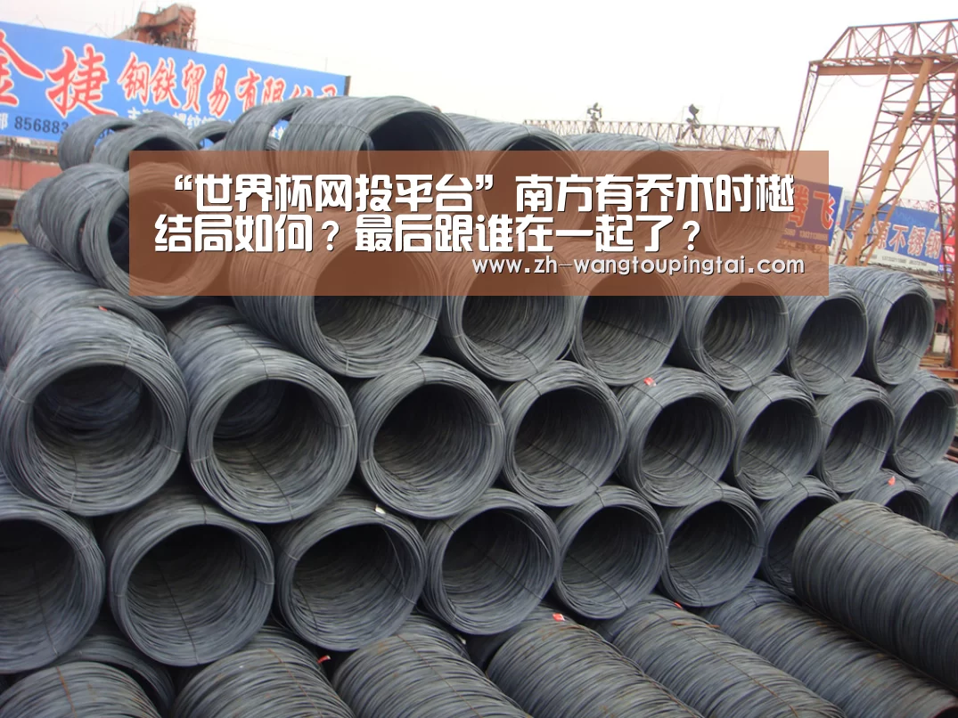 “世界杯网投平台”南方有乔木时樾结局如何?最后跟谁在一起了?(图1) 世界杯网投平台