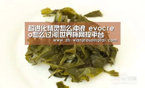 世界杯网投平台