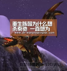 重生陈蕊为什么想杀秦驰 一直想为死去的哥哥报仇-世界杯网投平台(图2) 世界杯网投平台