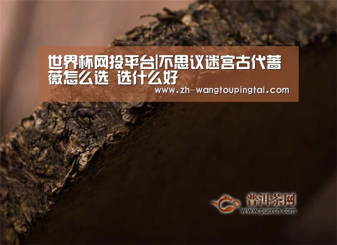 世界杯网投平台